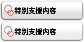 特別支援内容